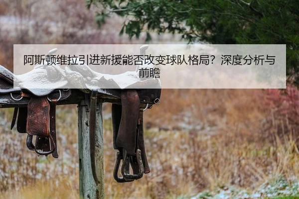 阿斯顿维拉引进新援能否改变球队格局？深度分析与前瞻