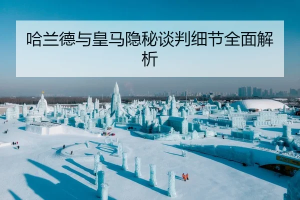 哈兰德与皇马隐秘谈判细节全面解析